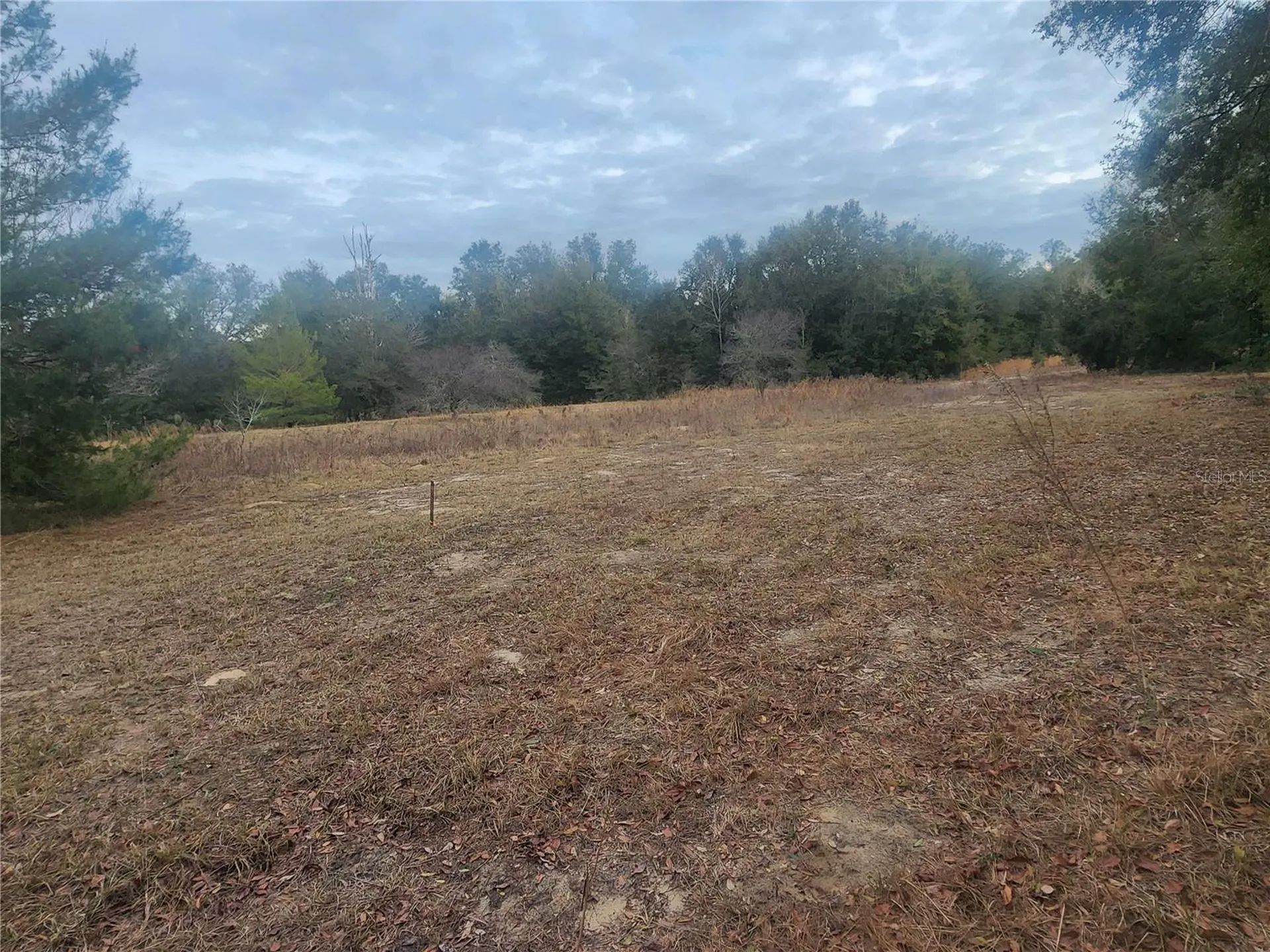 2407 Jackson Street Inverness FL 34453