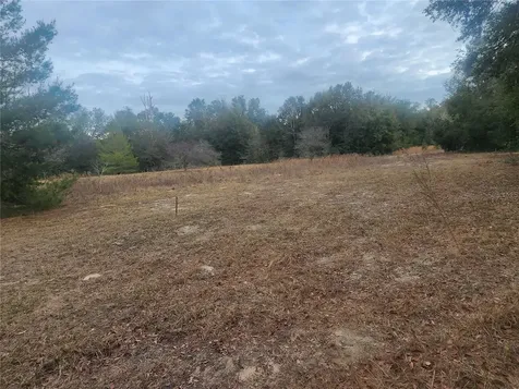 2407 Jackson Street Inverness FL 34453