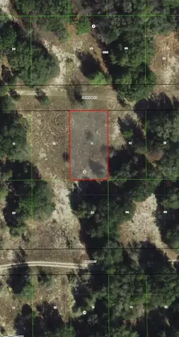 2407 Jackson Street Inverness FL 34453