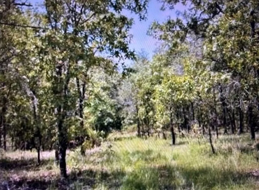 3830 NE 127th Court Williston FL 32696