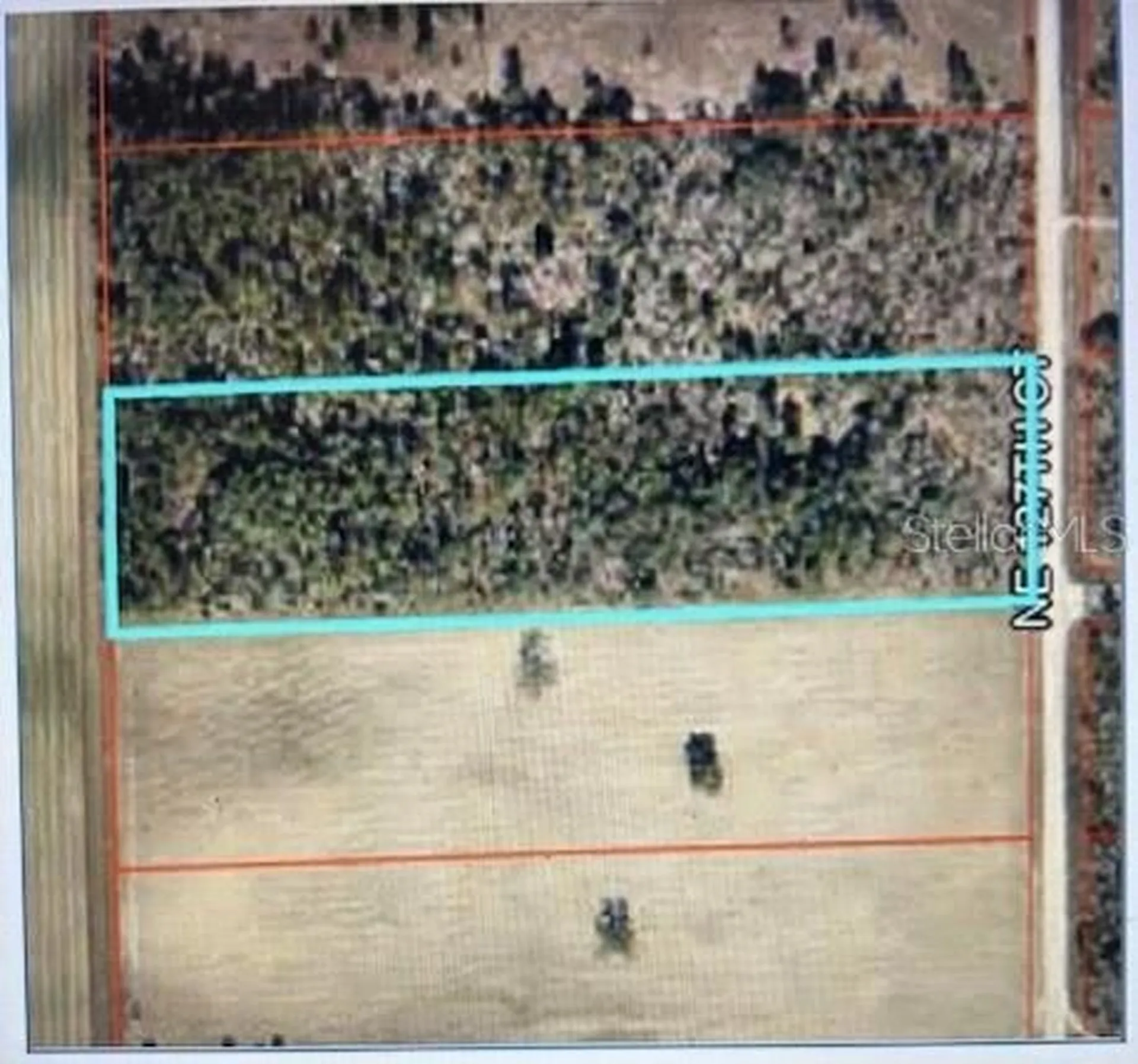 3830 NE 127th Court Williston FL 32696
