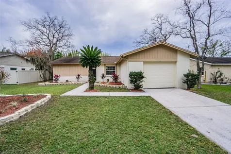 13819 Pathfinder Drive Tampa FL 33625