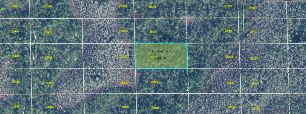 Dill Road Orlando FL 32820