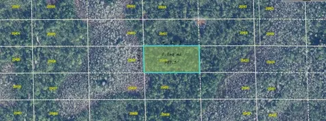Dill Road Orlando FL 32820