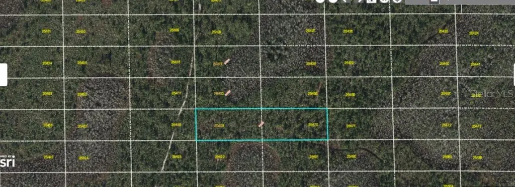 Dill Road Orlando FL 32820