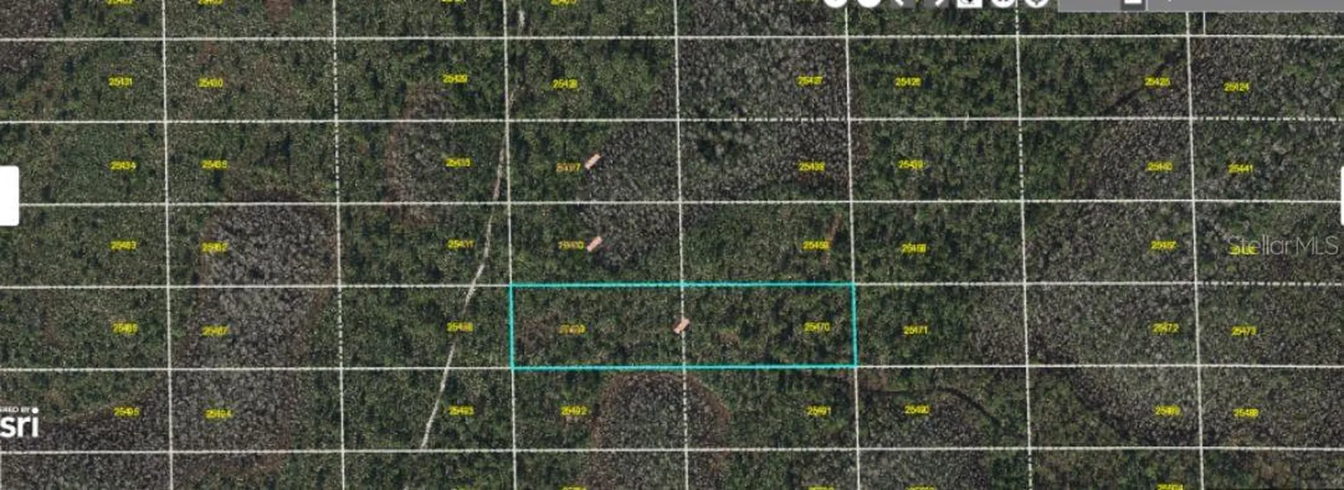 Dill Road Orlando FL 32820