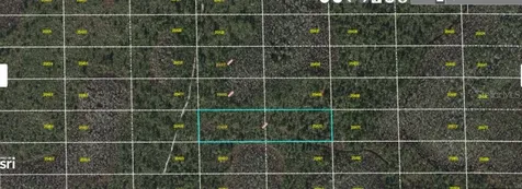 Dill Road Orlando FL 32820