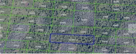 Dill Road Orlando FL 32820
