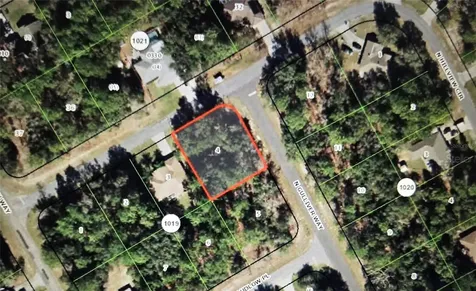 8170 N Hillview Circle Citrus Springs FL 34434