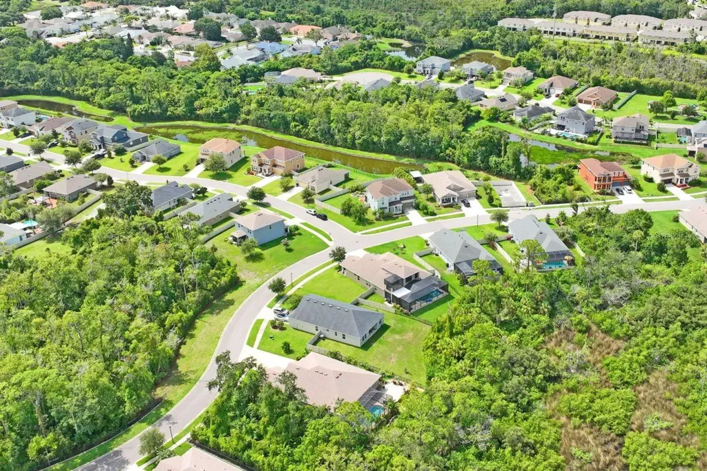 3238 Mela Court Holiday FL 34691