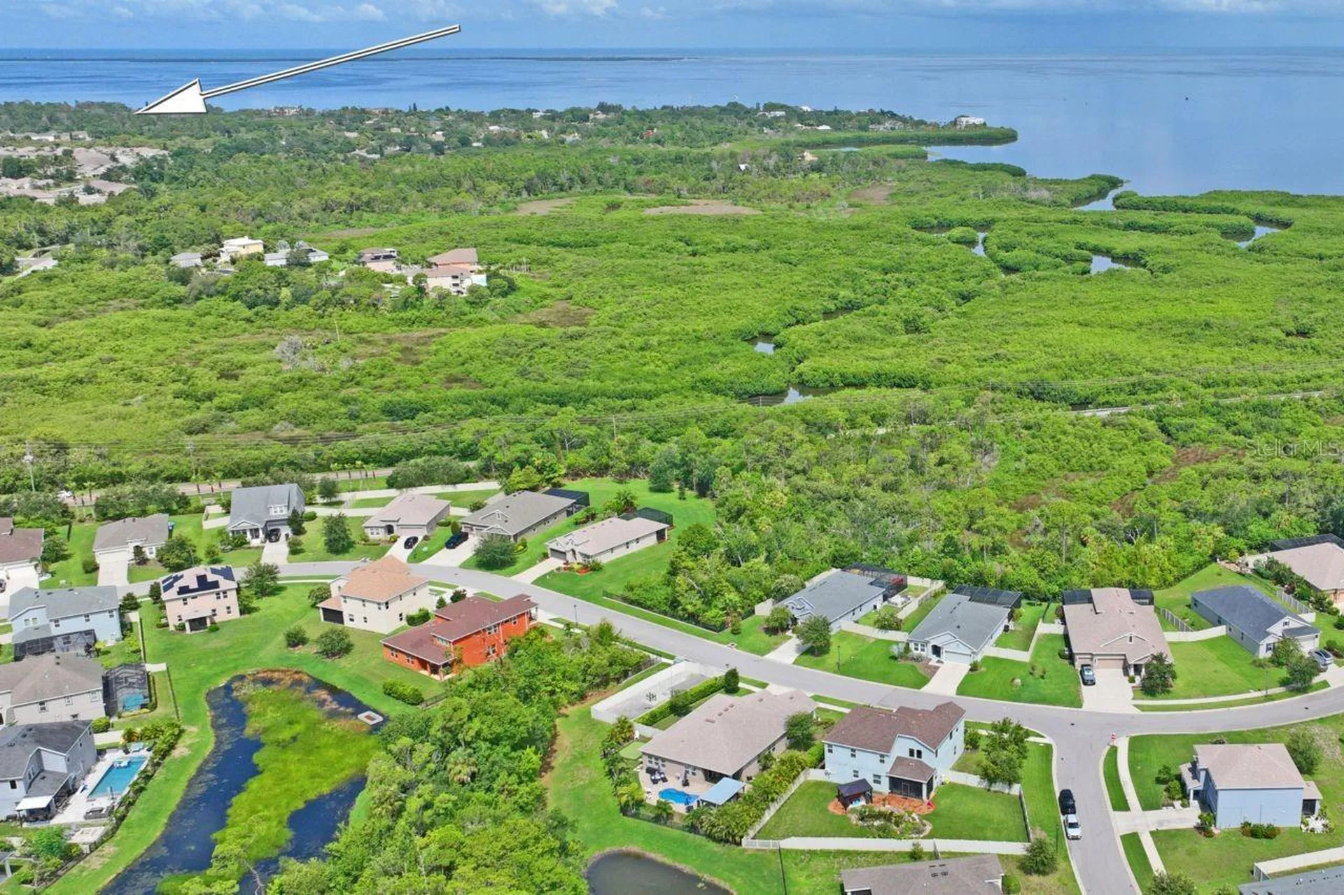 3238 Mela Court Holiday FL 34691
