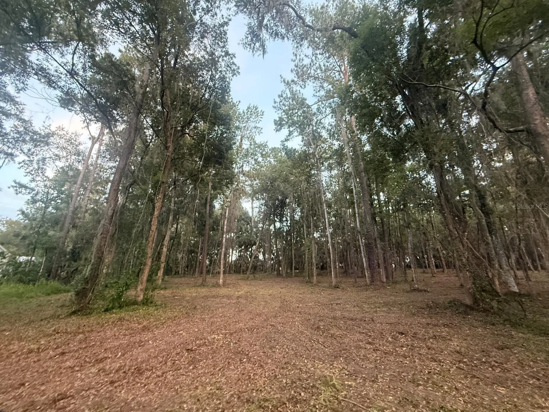 0 SE 40th Avenue Belleview FL 34420