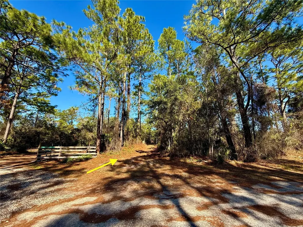 40001 Maggie Jones Road Paisley FL 32767