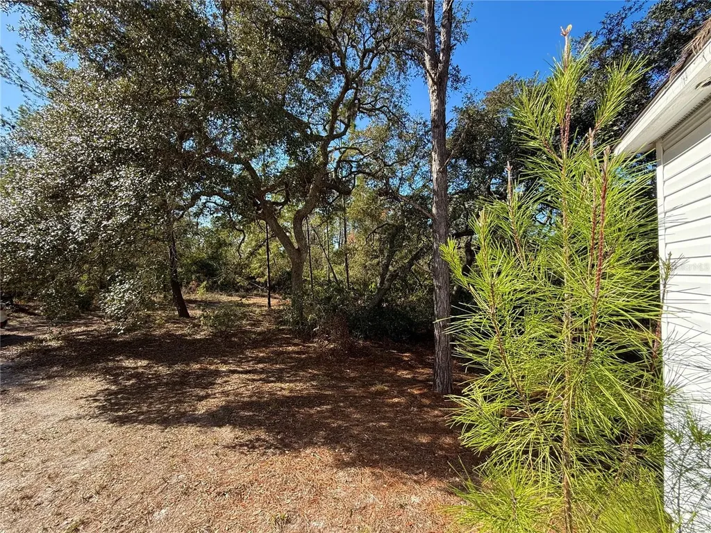 40001 Maggie Jones Road Paisley FL 32767