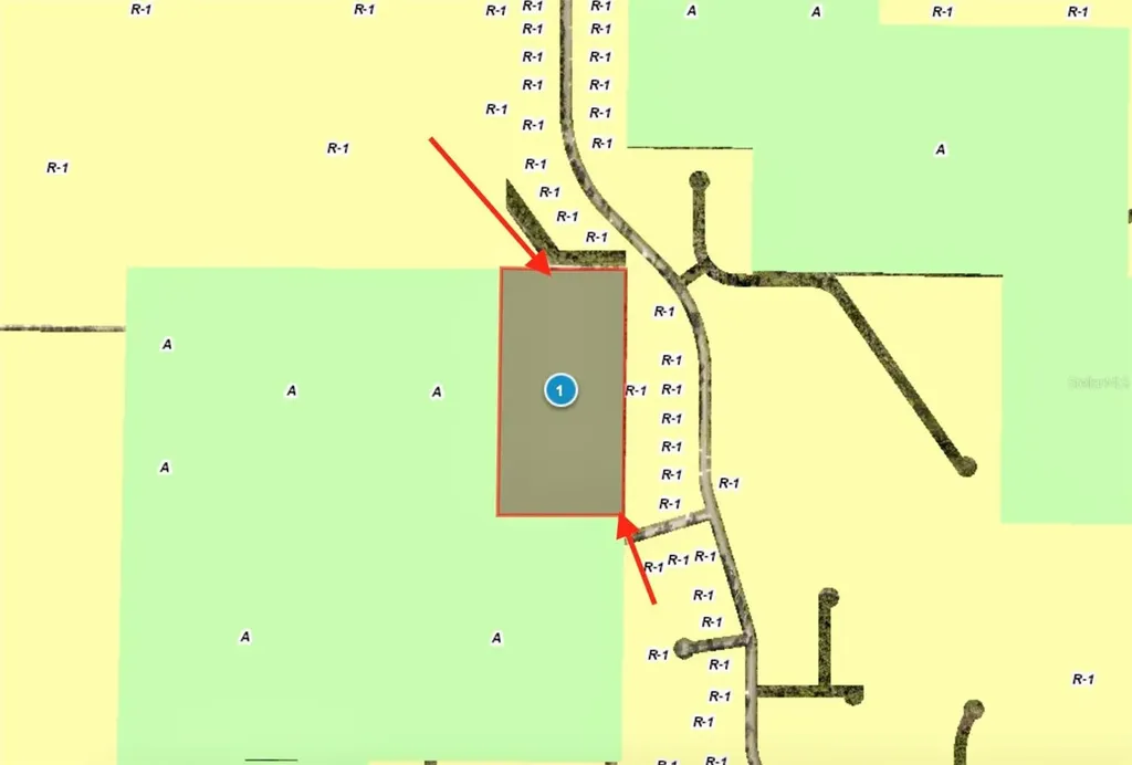 40001 Maggie Jones Road Paisley FL 32767