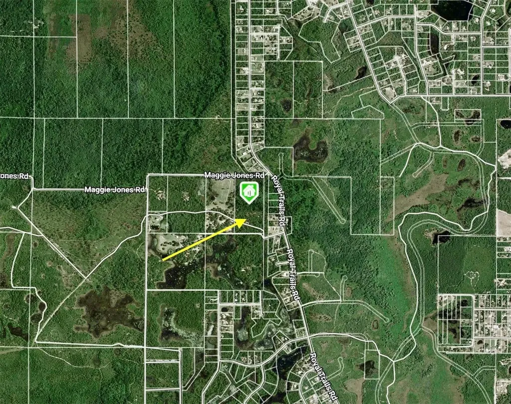40001 Maggie Jones Road Paisley FL 32767