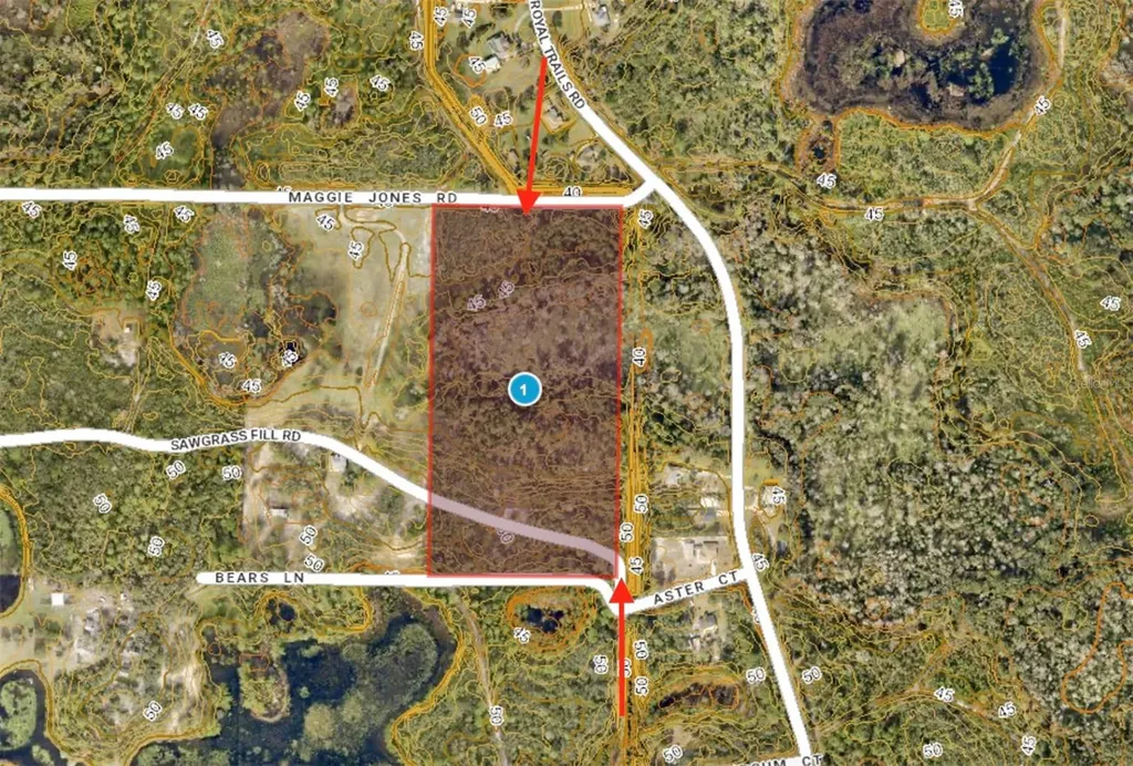 40001 Maggie Jones Road Paisley FL 32767