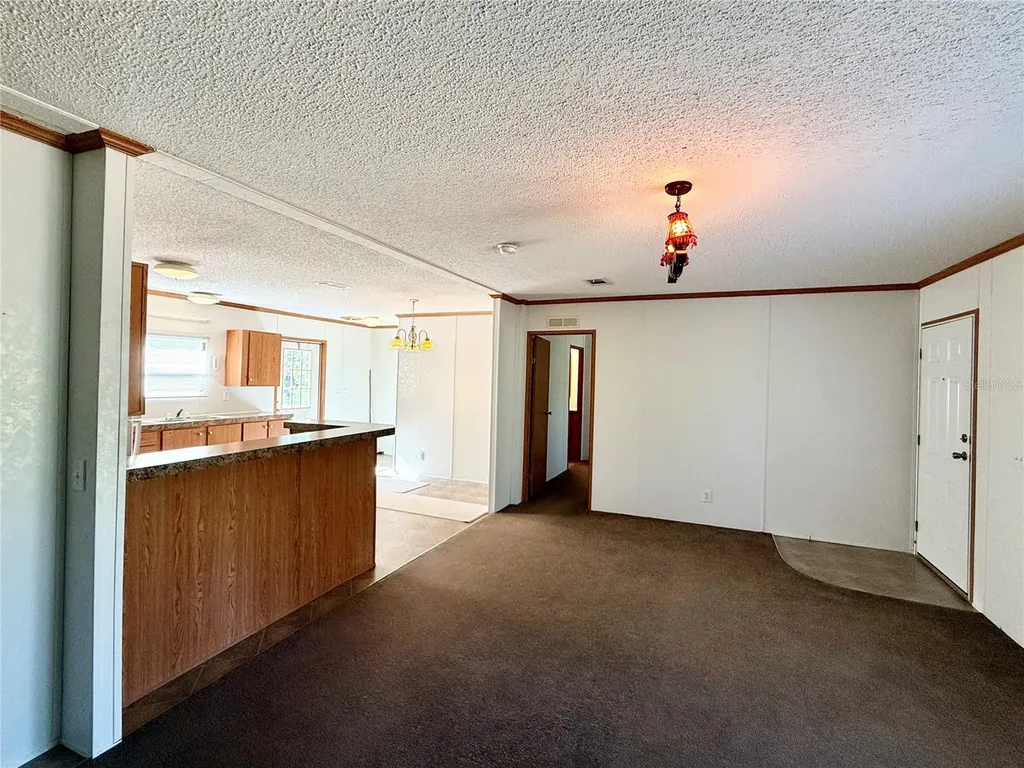 40001 Maggie Jones Road Paisley FL 32767