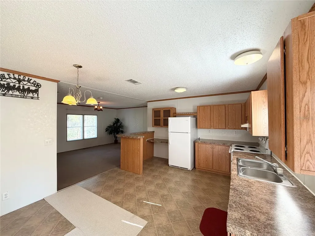 40001 Maggie Jones Road Paisley FL 32767