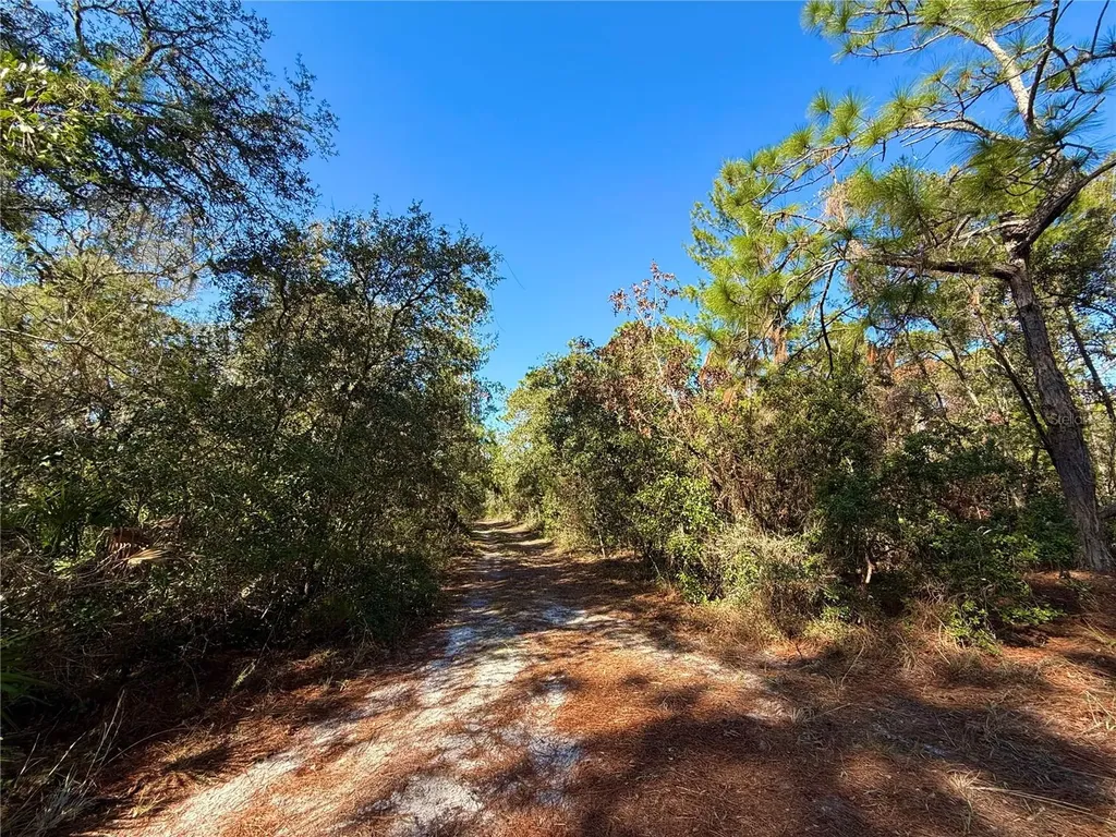 40001 Maggie Jones Road Paisley FL 32767