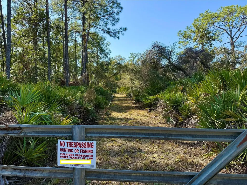 40001 Maggie Jones Road Paisley FL 32767