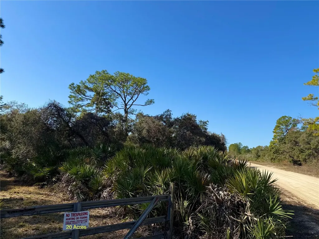 40001 Maggie Jones Road Paisley FL 32767
