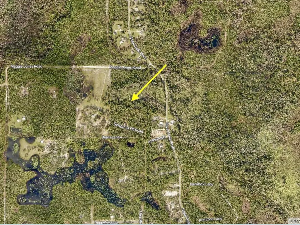 40001 Maggie Jones Road Paisley FL 32767