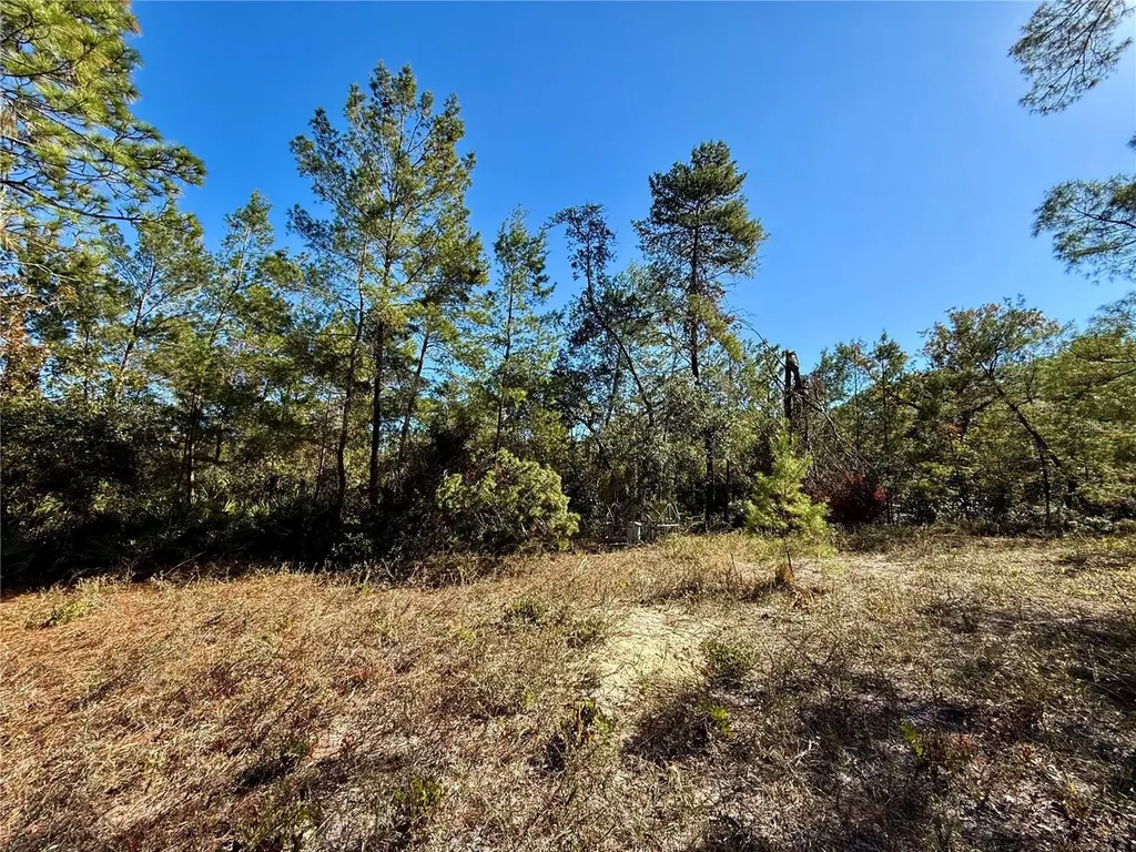 40001 Maggie Jones Road Paisley FL 32767