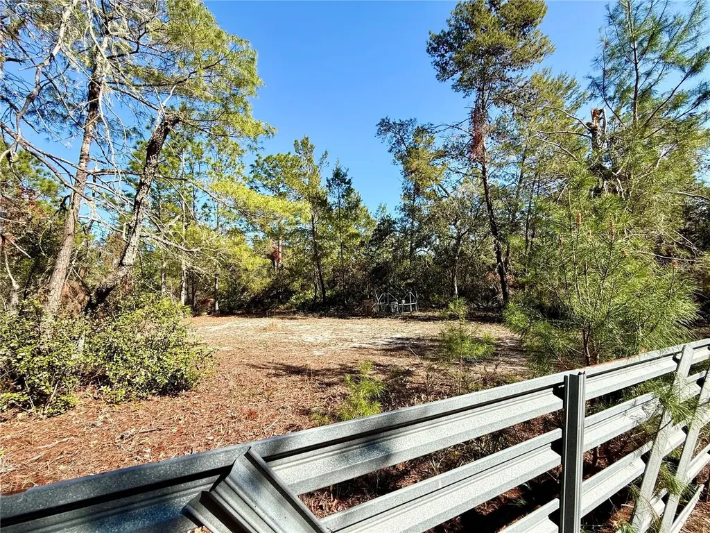 40001 Maggie Jones Road Paisley FL 32767