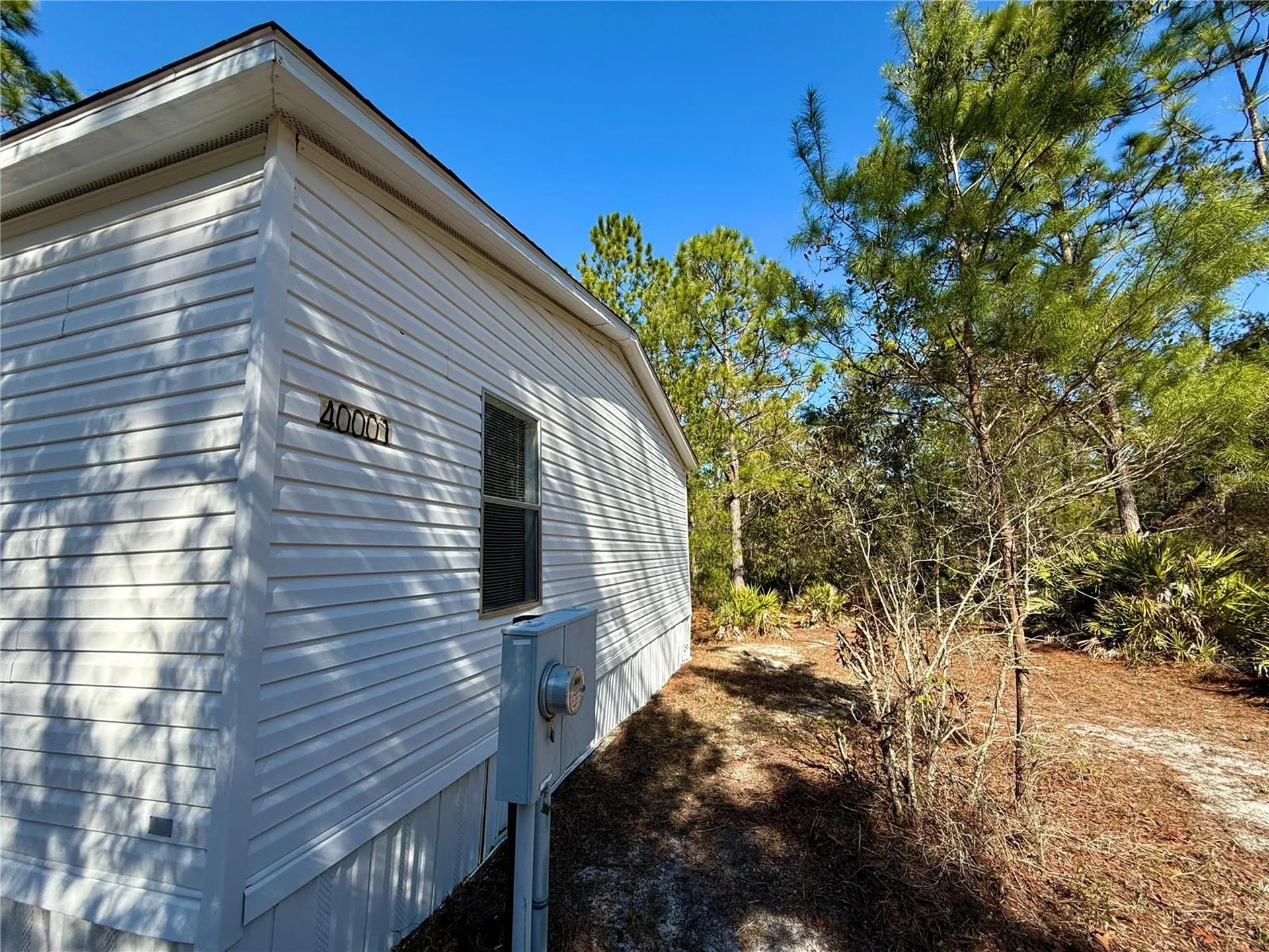 40001 Maggie Jones Road Paisley FL 32767