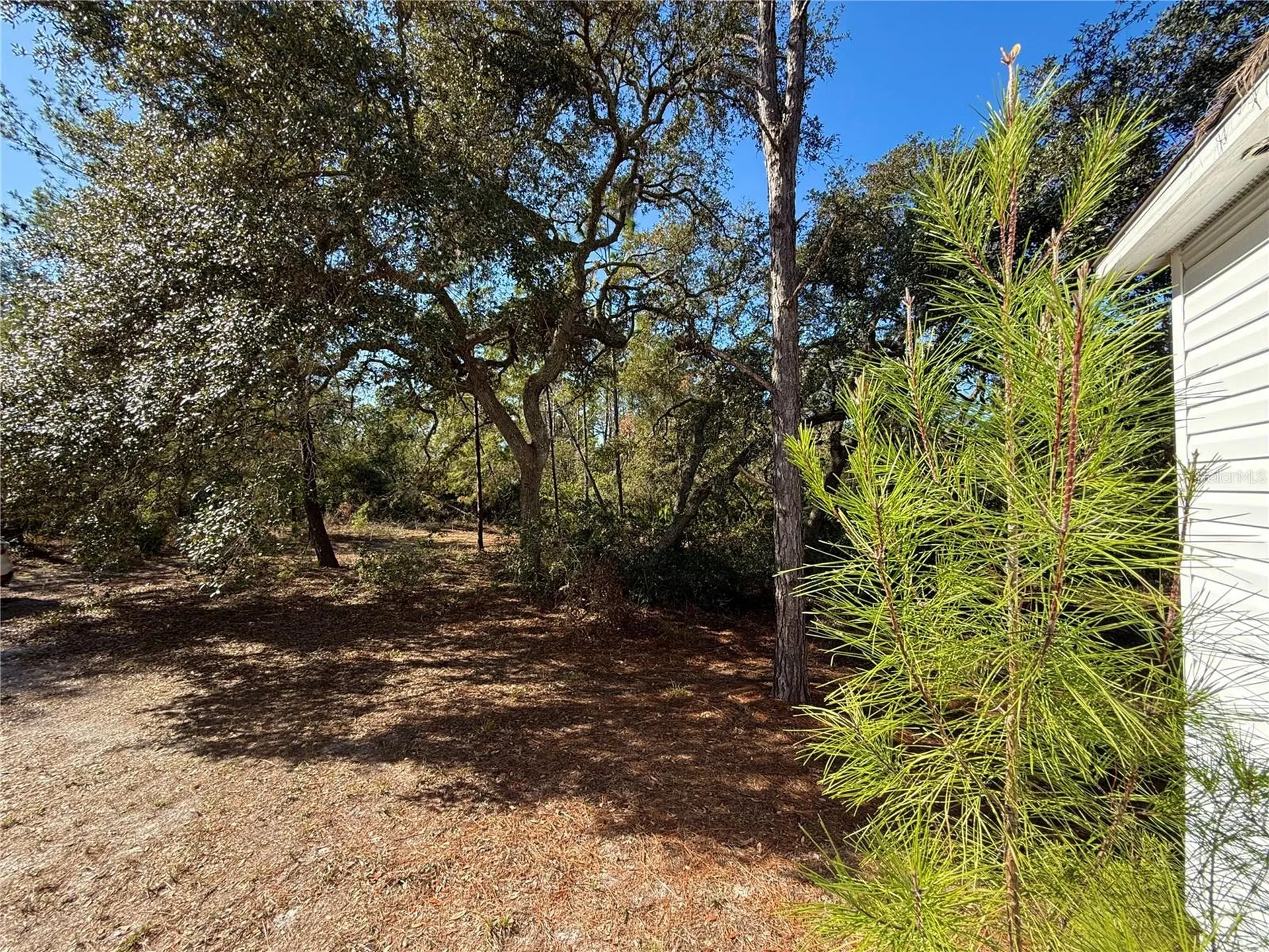 40001 Maggie Jones Road Paisley FL 32767