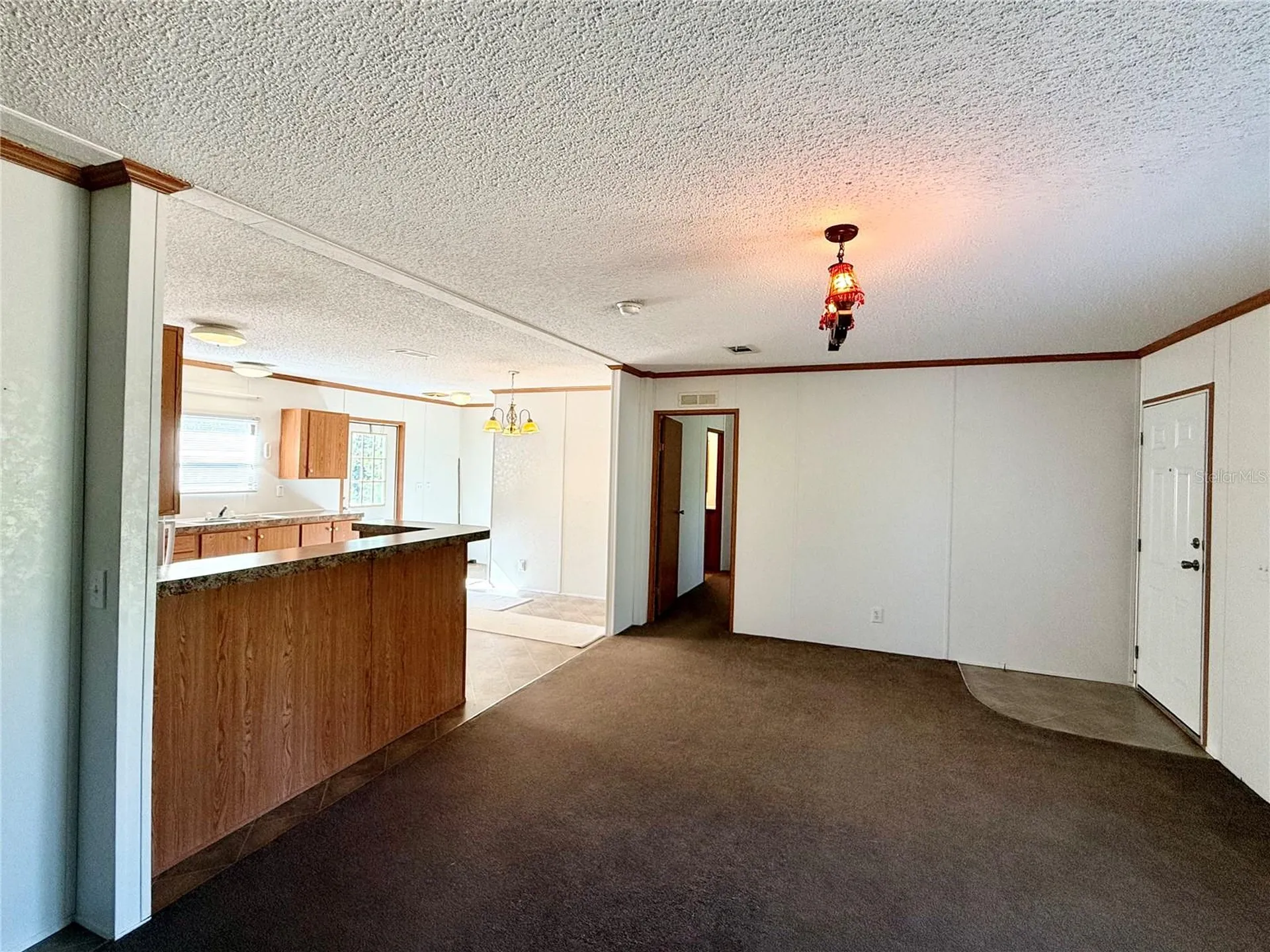 40001 Maggie Jones Road Paisley FL 32767