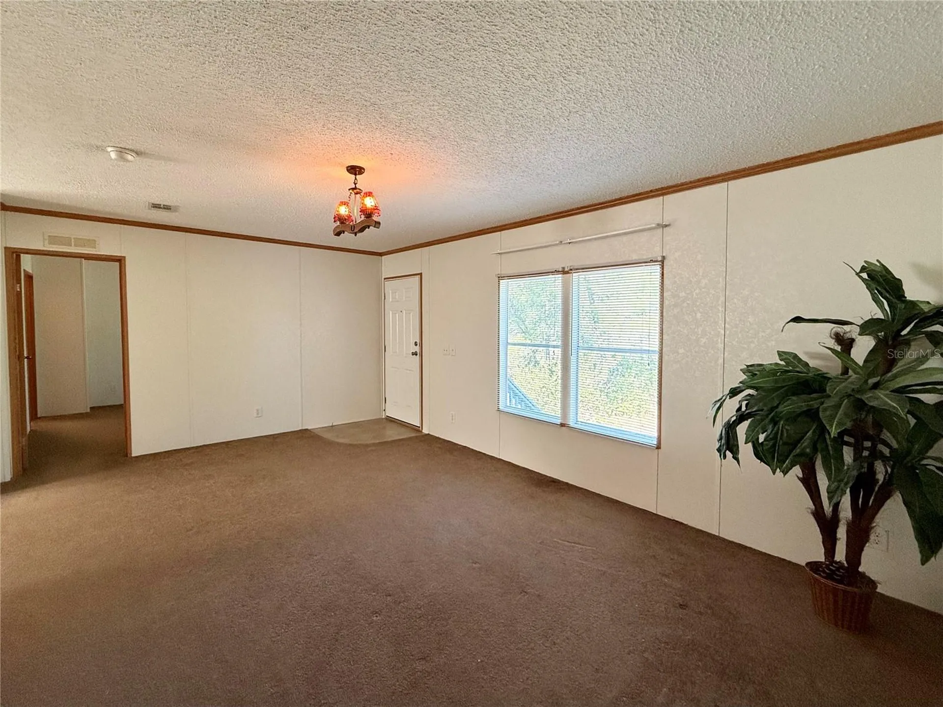 40001 Maggie Jones Road Paisley FL 32767