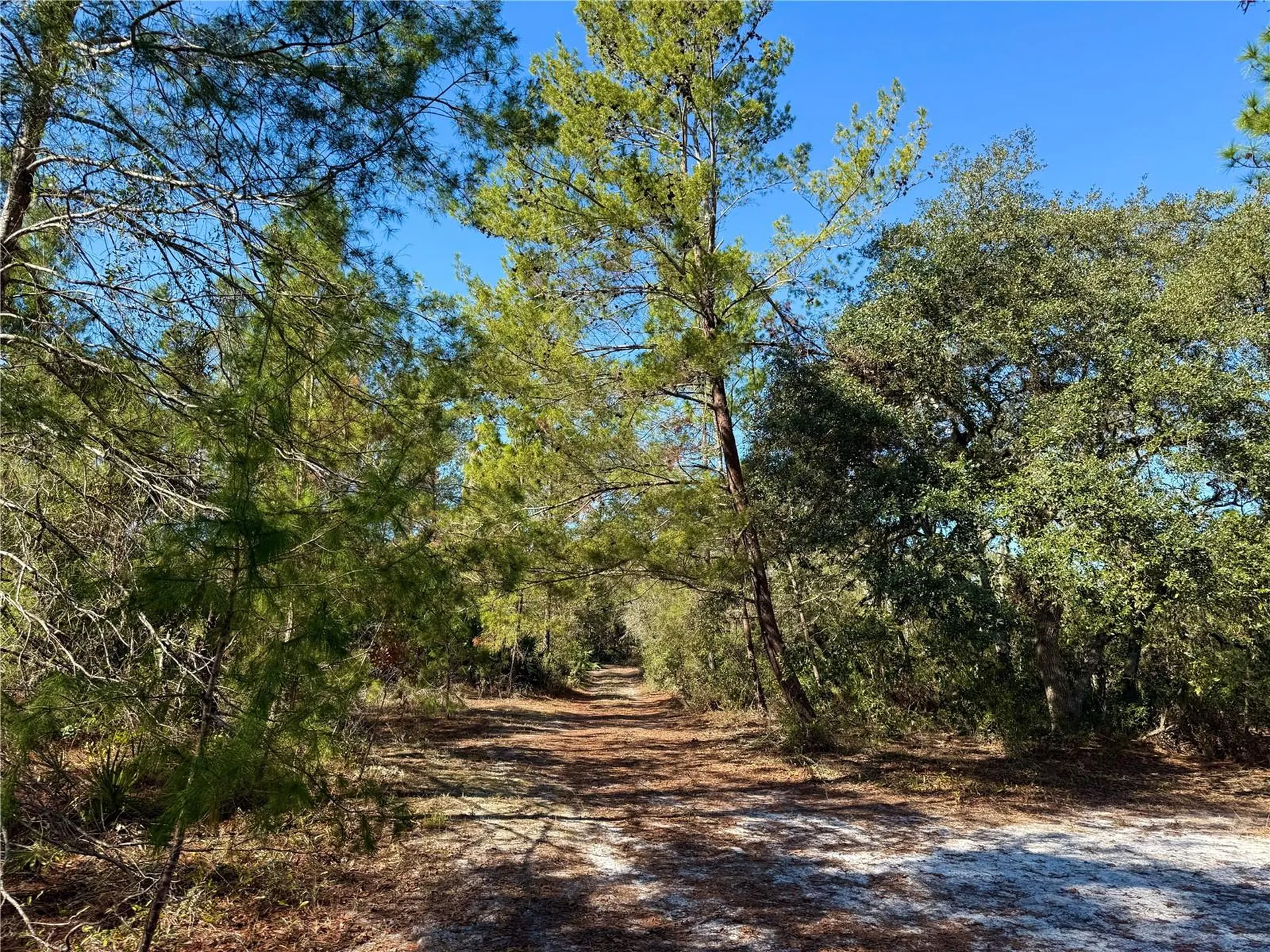 40001 Maggie Jones Road Paisley FL 32767
