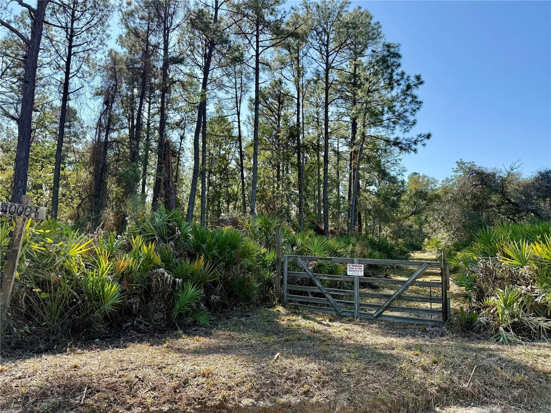 40001 Maggie Jones Road Paisley FL 32767
