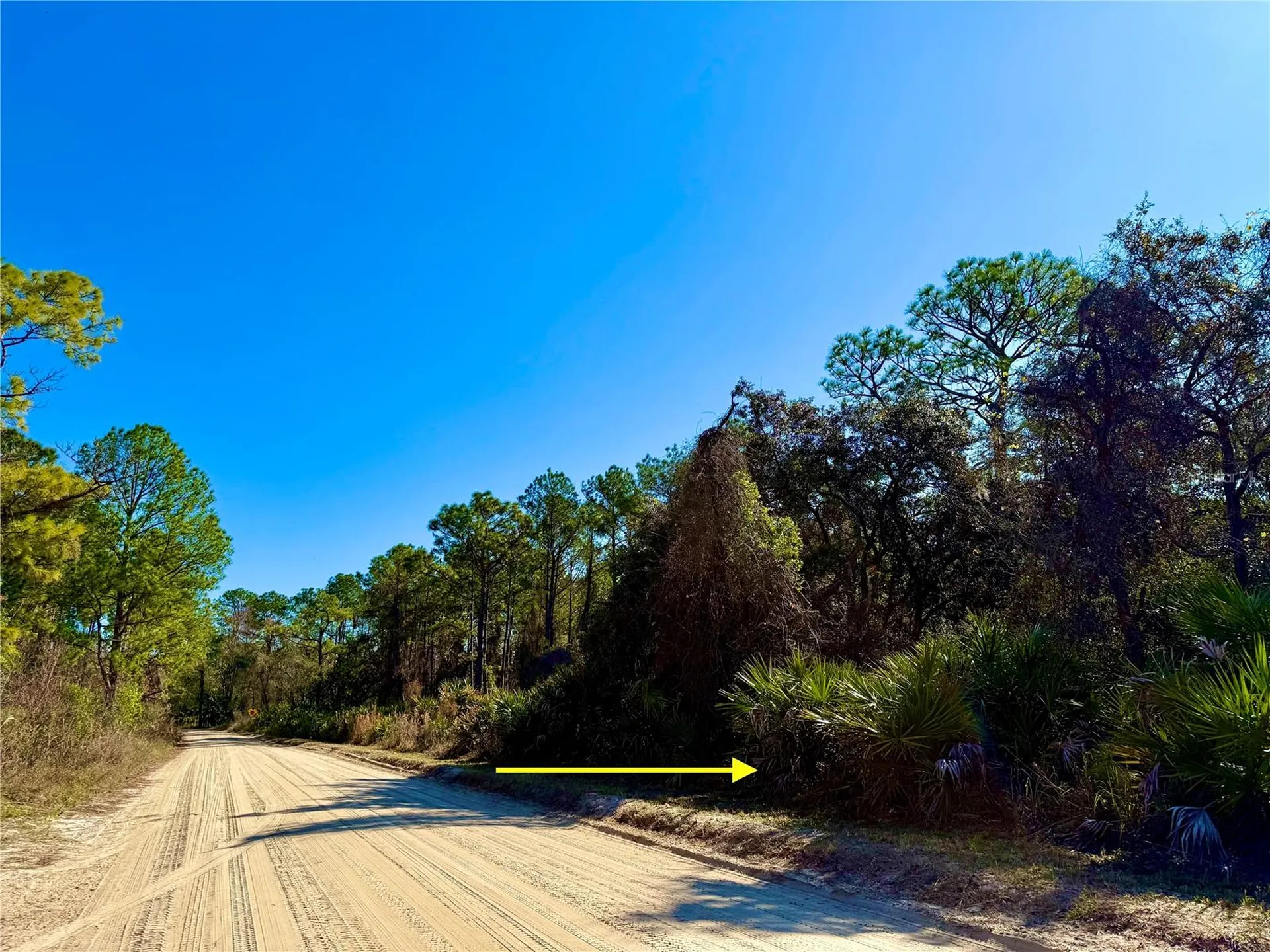 40001 Maggie Jones Road Paisley FL 32767