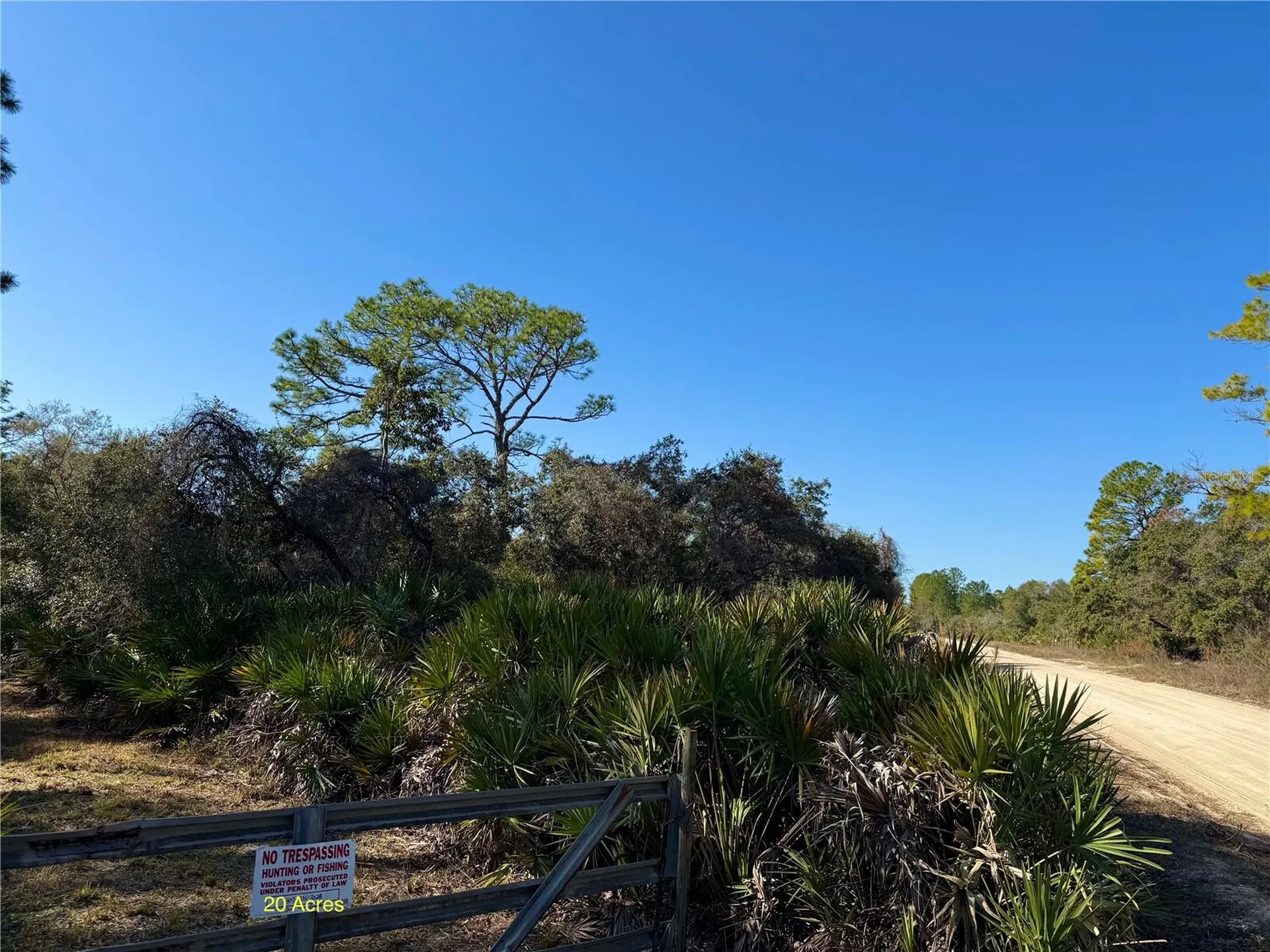 40001 Maggie Jones Road Paisley FL 32767