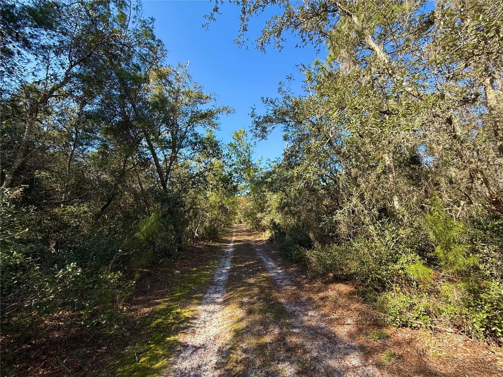 40001 Maggie Jones Road Paisley FL 32767