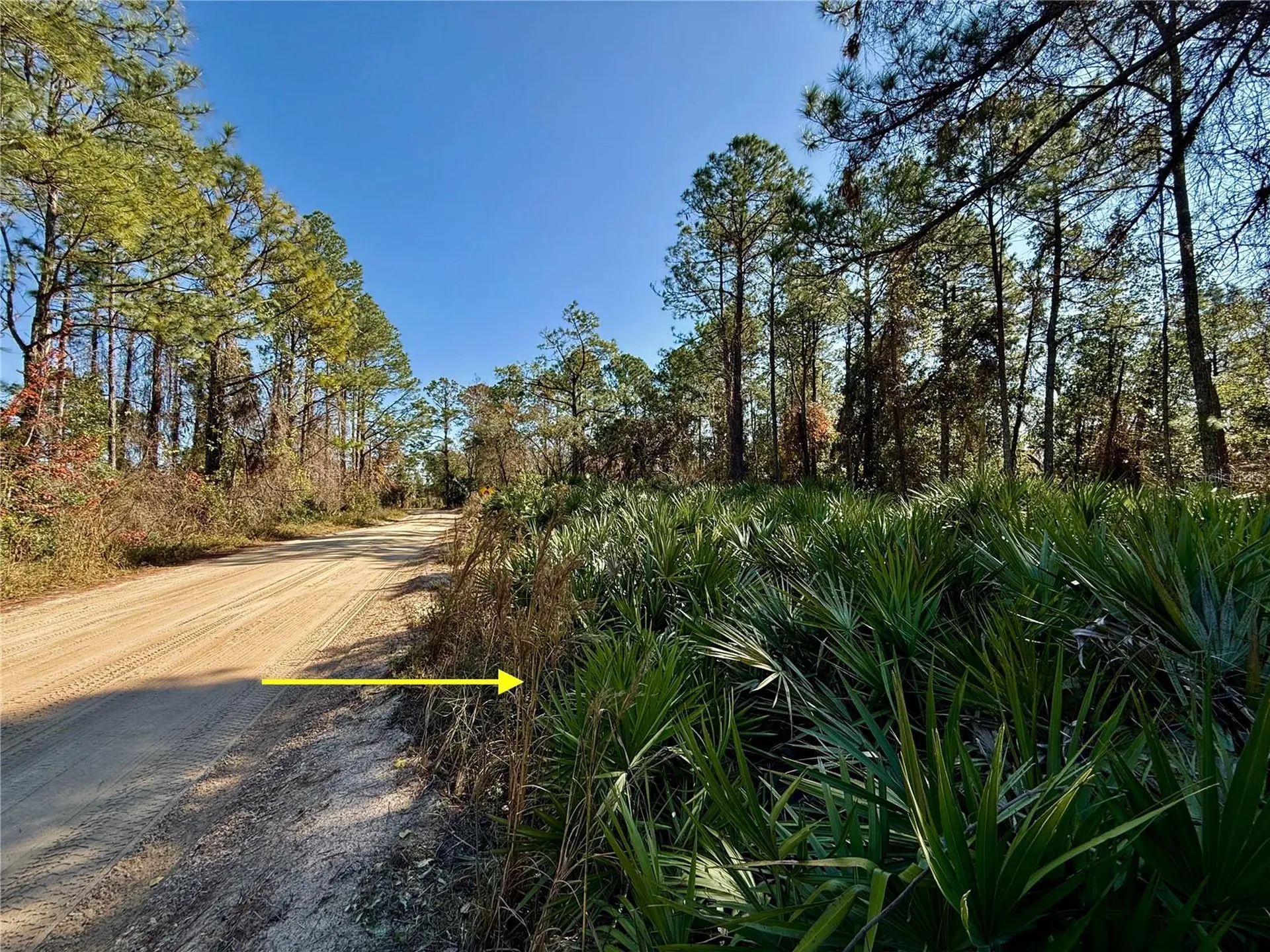 40001 Maggie Jones Road Paisley FL 32767