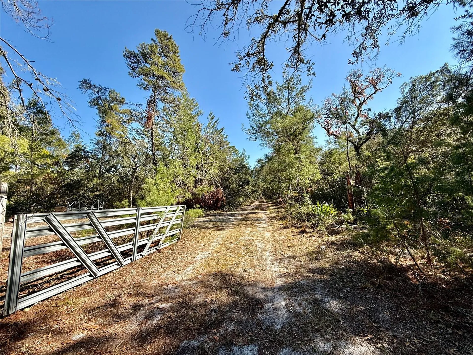 40001 Maggie Jones Road Paisley FL 32767