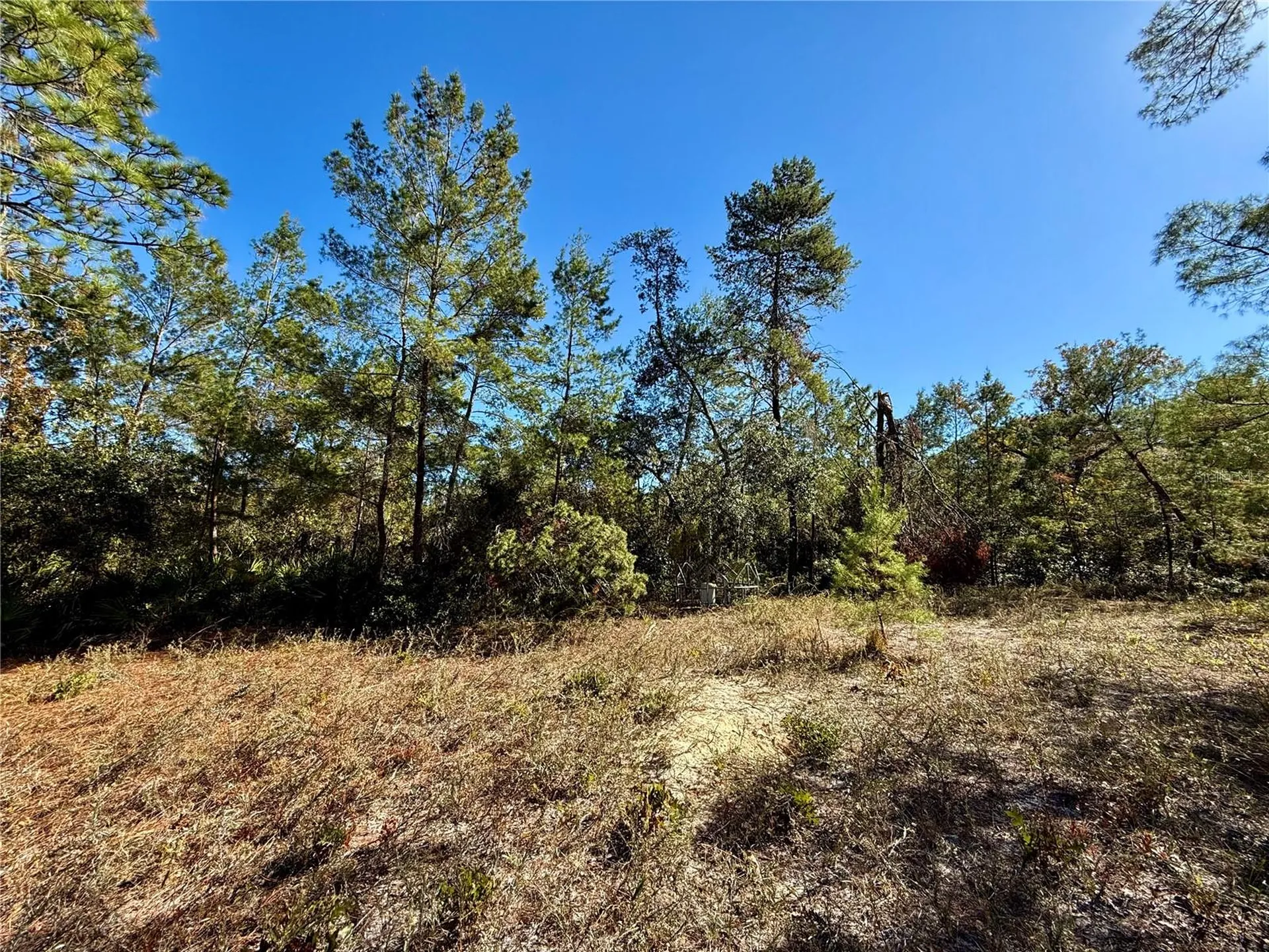 40001 Maggie Jones Road Paisley FL 32767