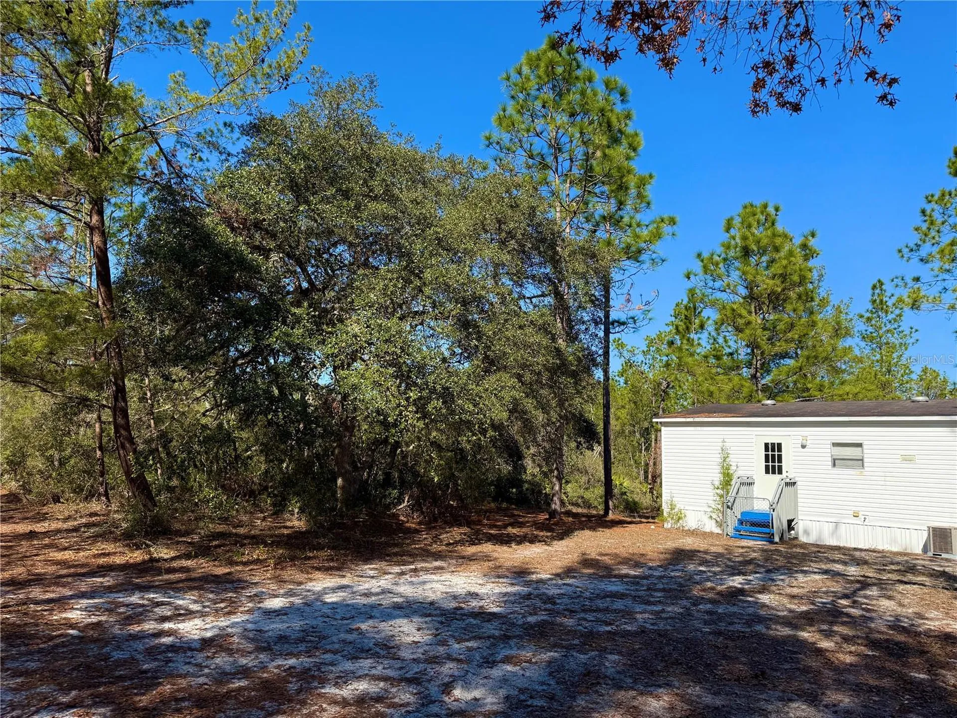 40001 Maggie Jones Road Paisley FL 32767