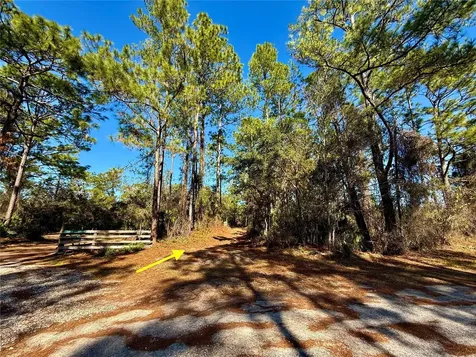 40001 Maggie Jones Road Paisley FL 32767