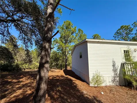 40001 Maggie Jones Road Paisley FL 32767