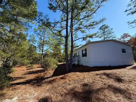 40001 Maggie Jones Road Paisley FL 32767