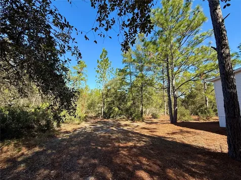 40001 Maggie Jones Road Paisley FL 32767