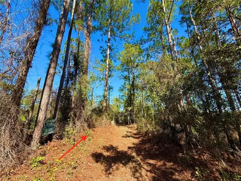 40001 Maggie Jones Road Paisley FL 32767