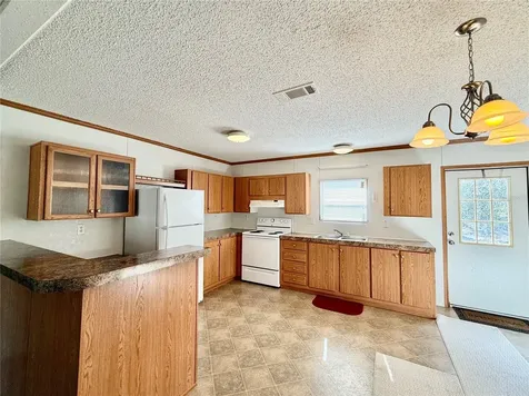 40001 Maggie Jones Road Paisley FL 32767