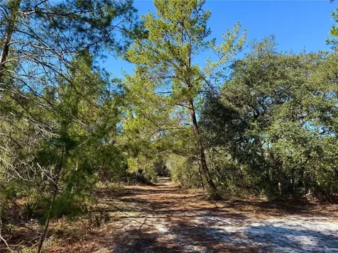 40001 Maggie Jones Road Paisley FL 32767