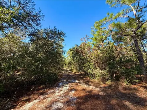 40001 Maggie Jones Road Paisley FL 32767